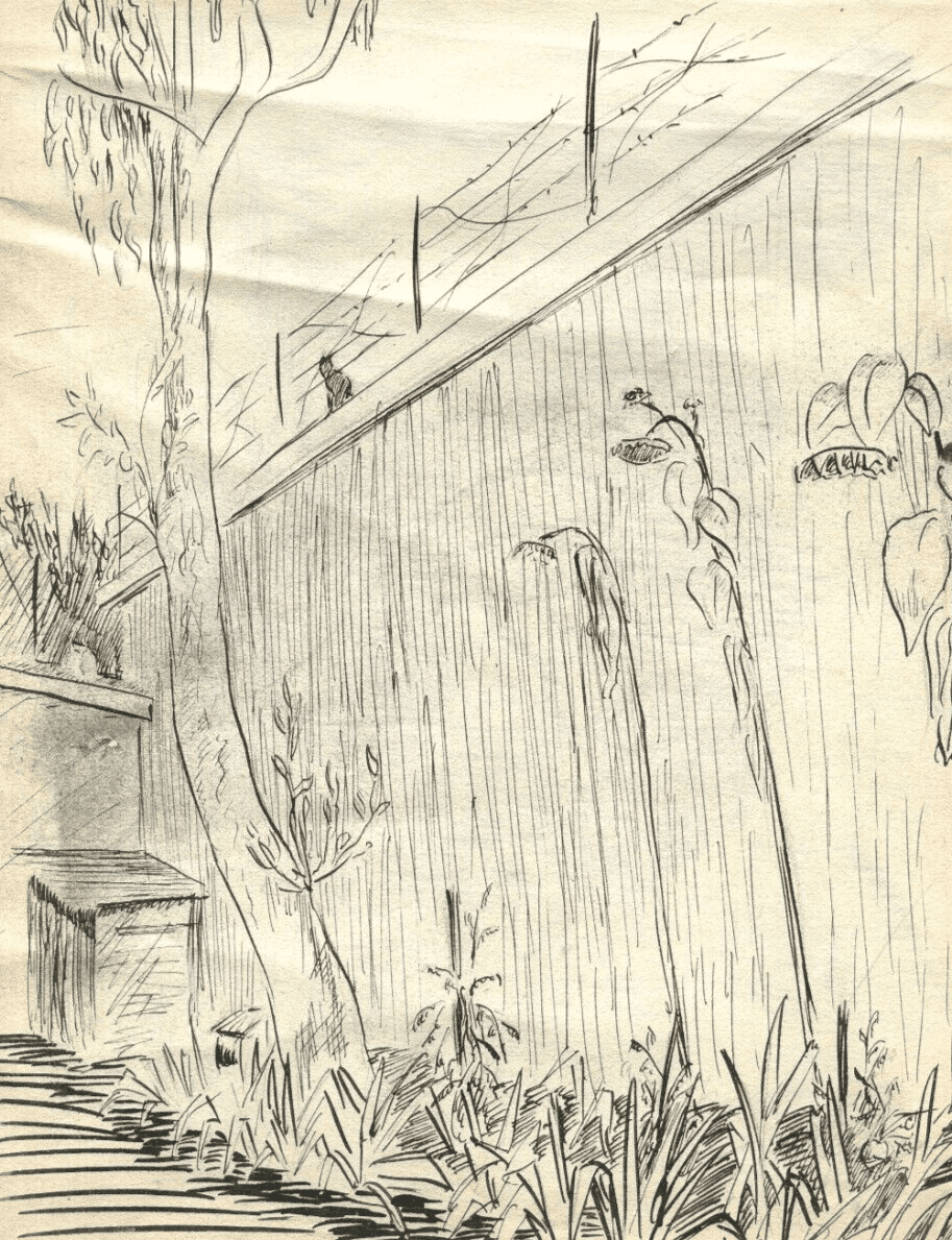 Vintage Ink Original Drawing Garden Landscape, Vegetation