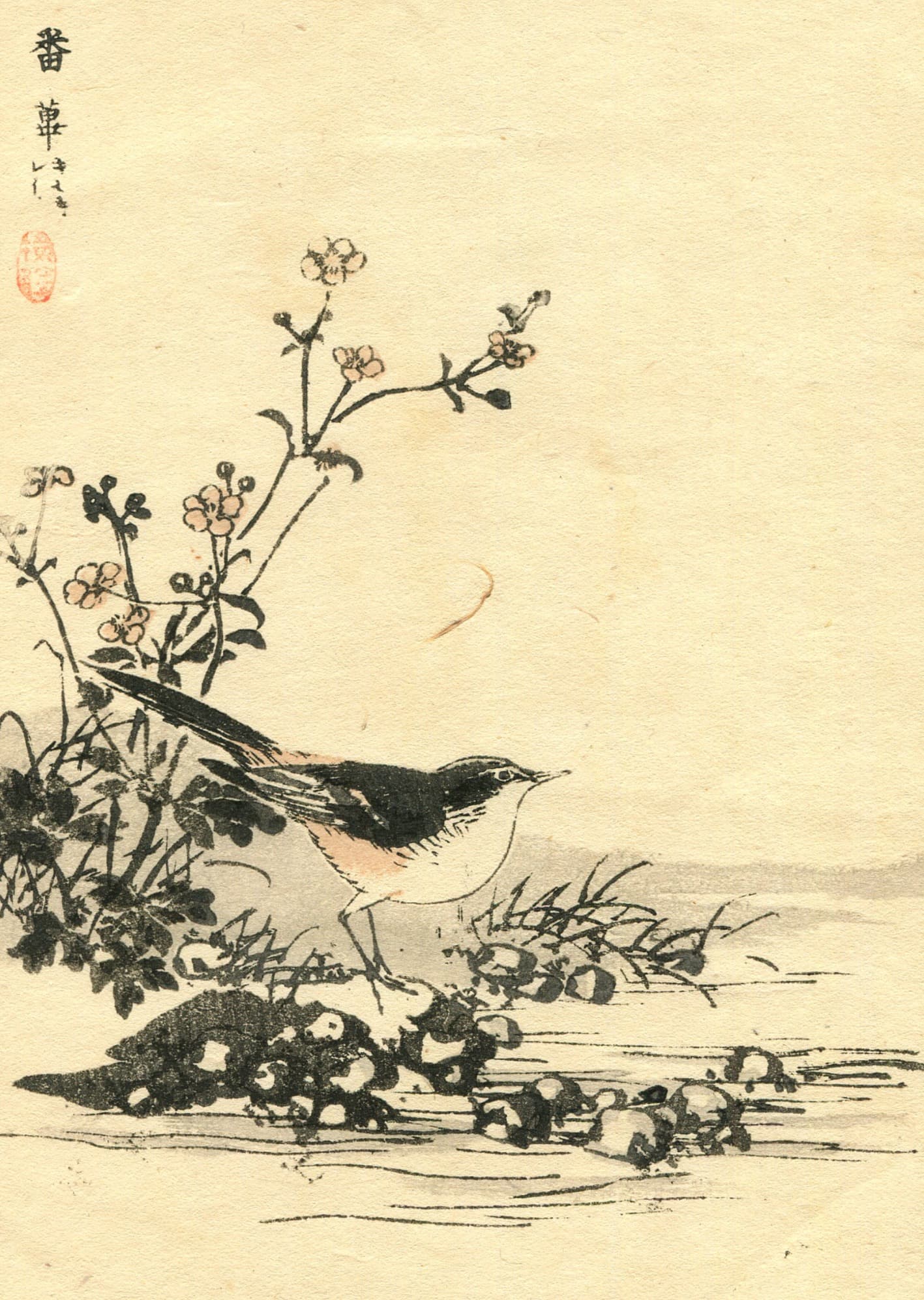 Black-capped Chickadee Ukiyo-e Print c. 1890 image 1