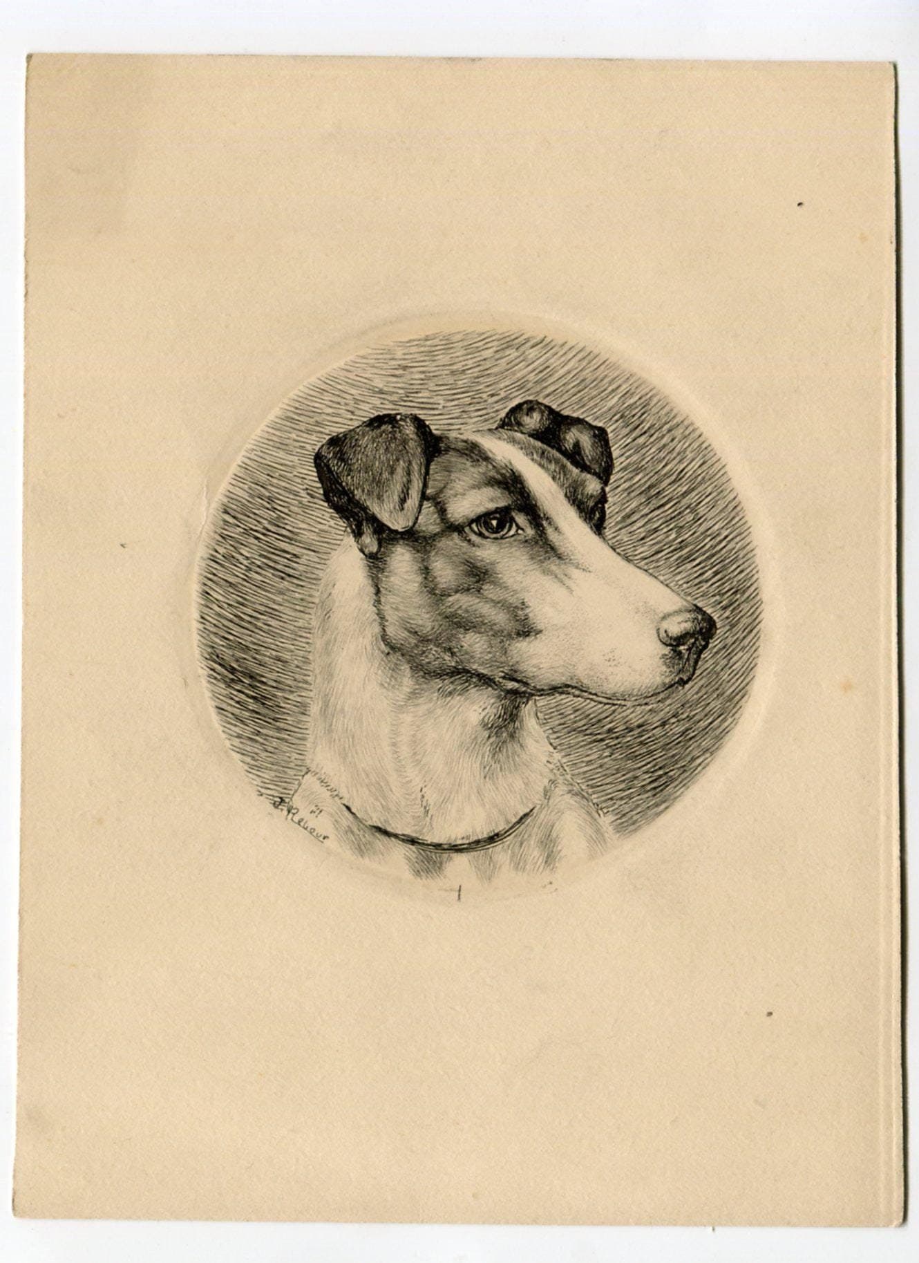 Vintage Etching of a Fox Terrier Art Jacques REBOUR (XX) Dog Portrait image 1