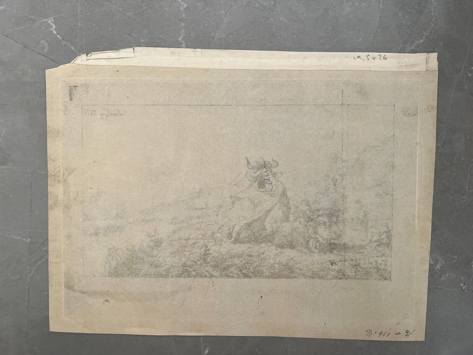 Etching Original Louis GUY (1824-1888) Landscape, Cows 1875 image 8