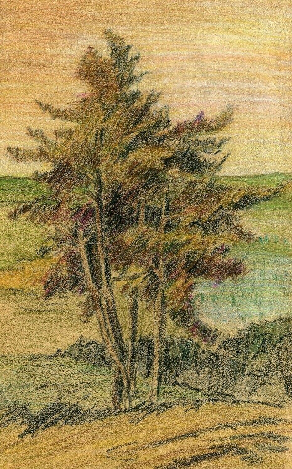 Drawing Tree, Vegetation, Landscape, Leaves image 1