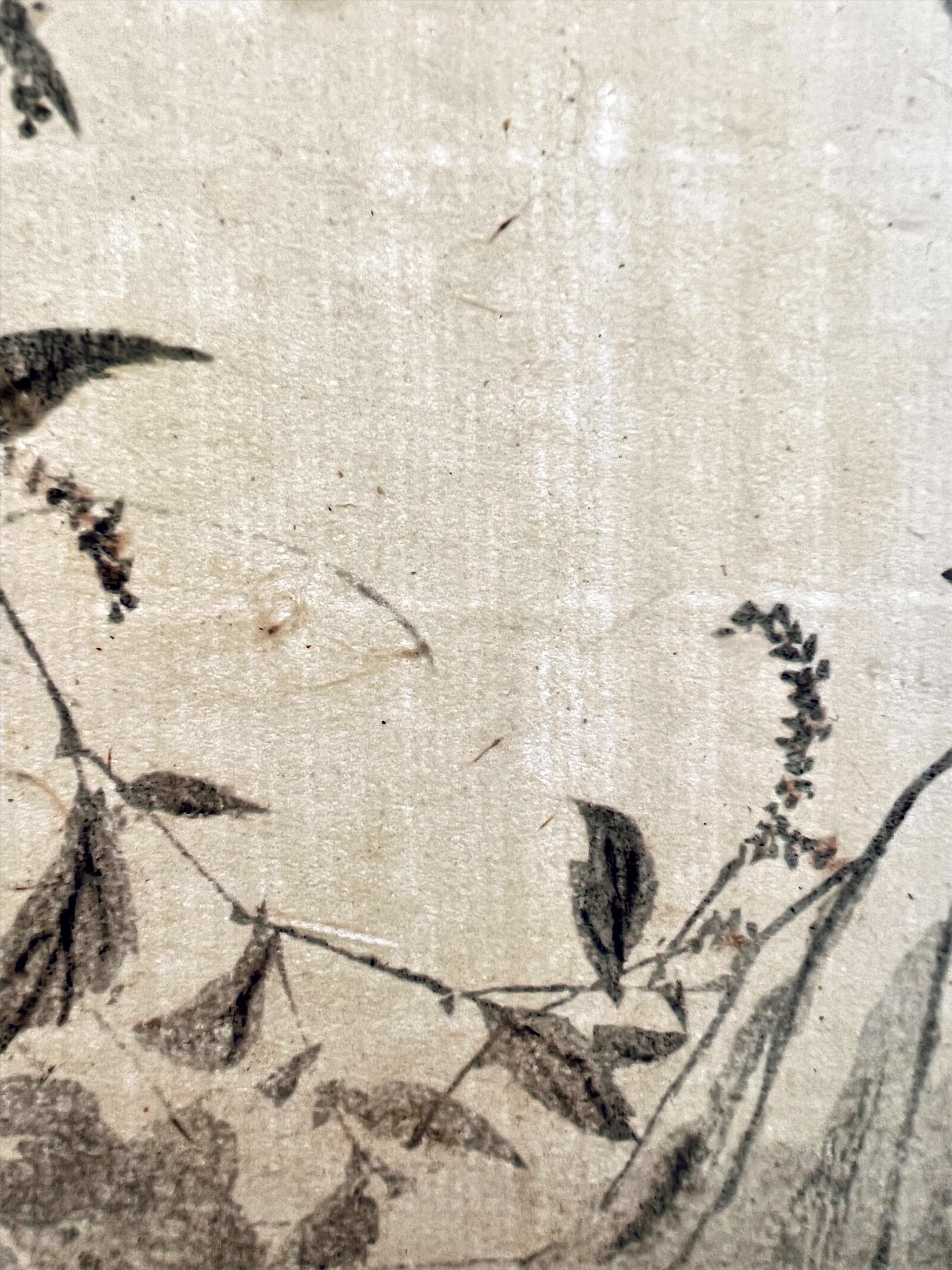 Black-capped Chickadee Ukiyo-e Print c. 1890 image 2
