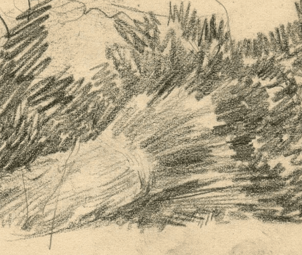 Vintage Pencil Drawing signed Woman in a Field Garden Sketch image 5