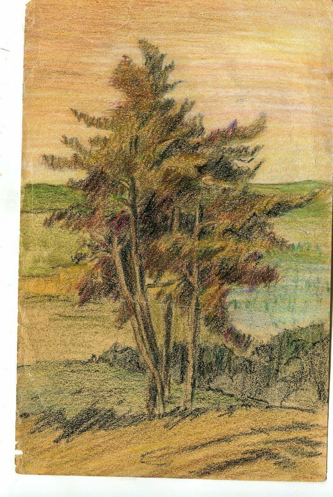 Drawing Tree, Vegetation, Landscape, Leaves image 2