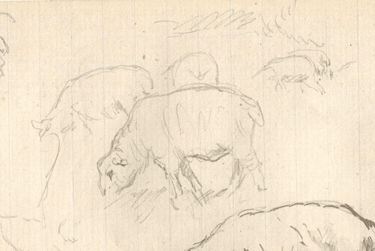Vintage Ink Original Drawing Animals, Sheep, Cow, Stable image 5
