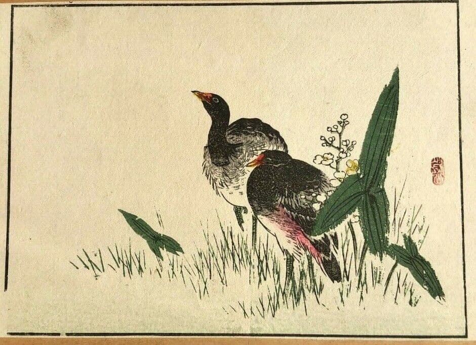Antique Japanese Flowers WoodPrint Birds c. 1890 Asian Art Print Ukiyo-e Floral