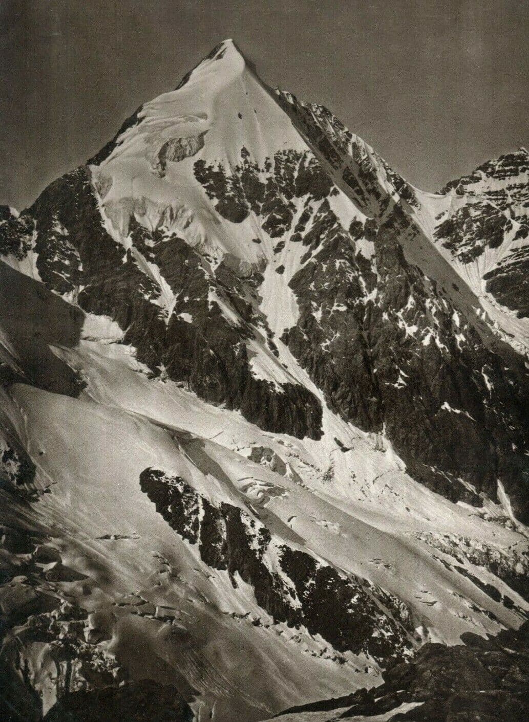 Vintage Photographs Die Konigsspitze vom Eisseepass, 1896