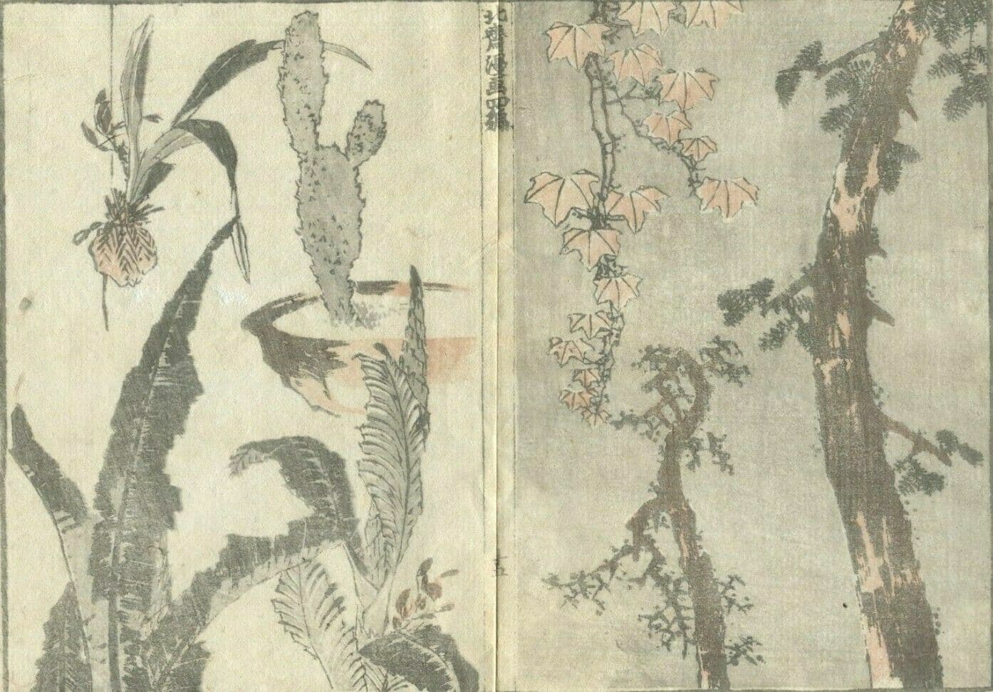Antique Japanese Woodprint Original Cactus c. 1890 Edo/Meiji 19th century Asian