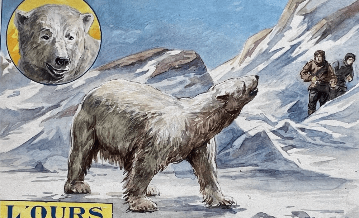Drawing Illustration Polar Bear image 1