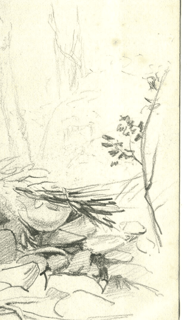 Vintage Pencil Drawing Landscape Oak surrounded by Stone image 3