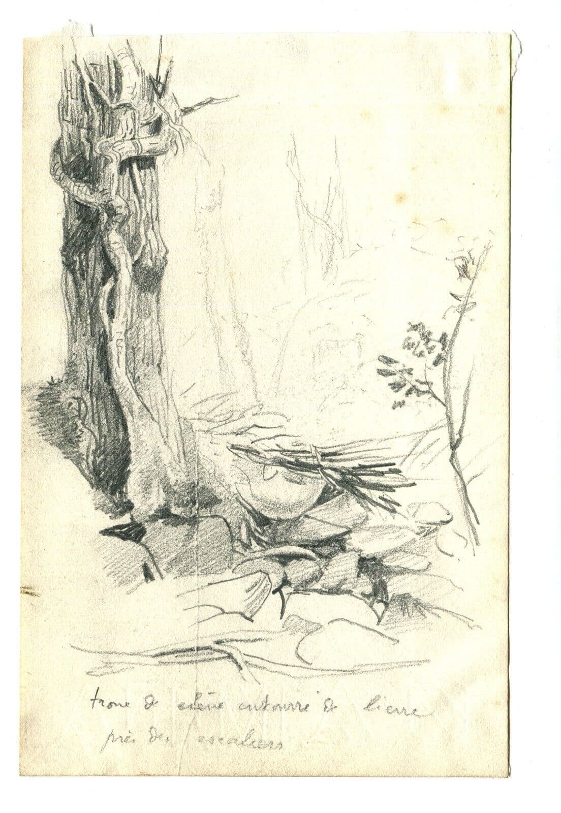 Vintage Pencil Drawing Landscape Oak surrounded by Stone image 5